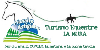 Turismo equestre